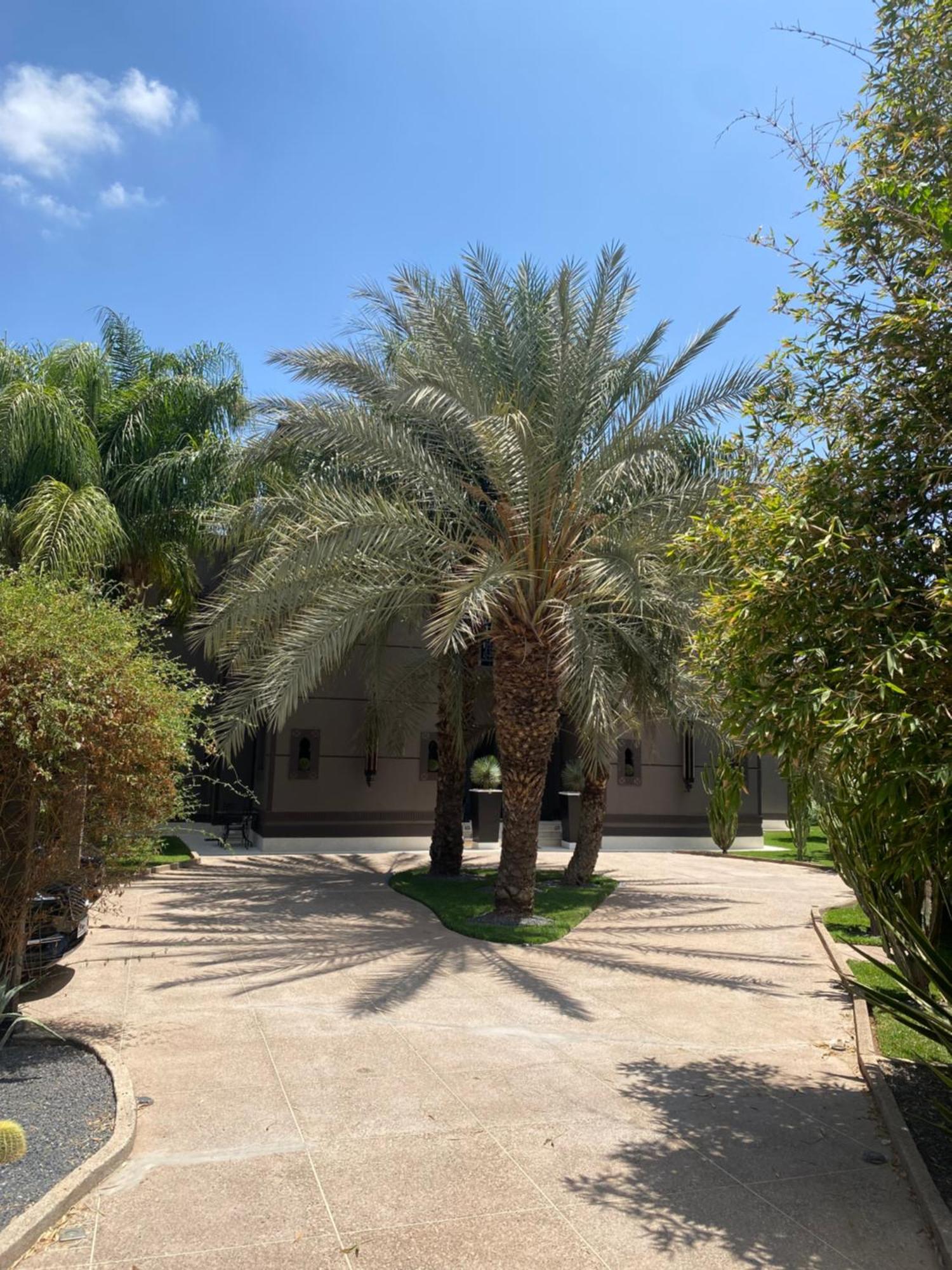 Villa Mano Lagouassem Ngoại thất bức ảnh