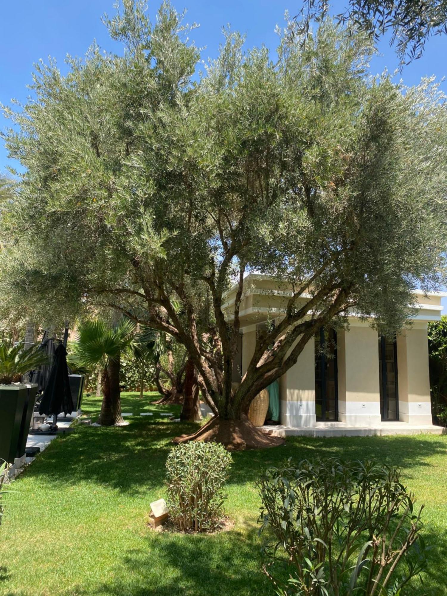 Villa Mano Lagouassem Ngoại thất bức ảnh